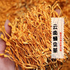 云南杨栈记臻选虫草花200g/袋 商品缩略图1