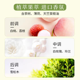 狮王（Lion）持久香氛抑菌洗衣液香槟玫瑰900g*3持久留香60天快洗进口洗衣液 /家庭清洁/纸品 /衣物清洁 /普通洗衣液