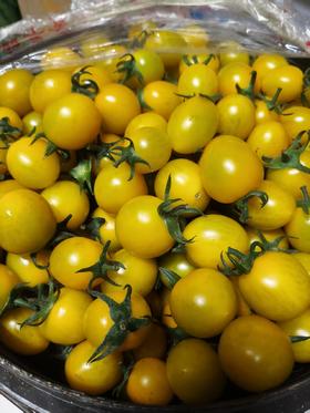 爆小甜蛋黄柿子一斤