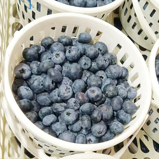 蓝莓（三级果）1.2kg/蓝 商品图0