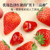 【米马团购】食味的初相 脆皮冰糖草莓26g*3袋 商品缩略图2