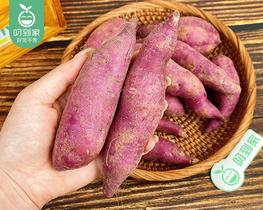 广东沙地紫薯（1.5kg±100g/袋） 商品图1