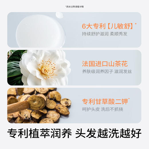 海龟爸爸儿童柔顺亮泽洗发露 | 植萃配方、温和清洁不刺激、洗后柔顺不毛躁、新旧版本随机发 商品图3