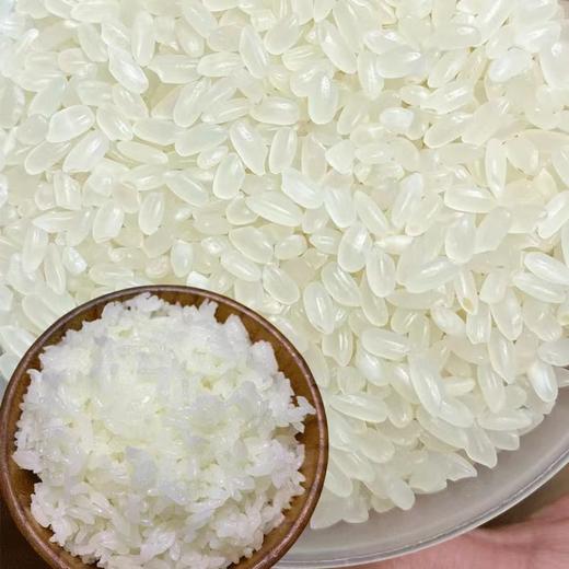 南梁山珍大米5Kg 商品图1