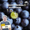 生态蓝莓（广州） | 合作生产*Eco-friendly Blueberries |  Partner Production 商品缩略图0