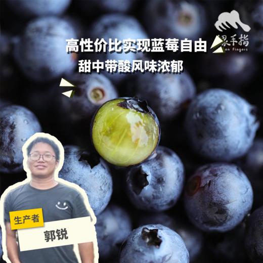 生态蓝莓（广州） | 合作生产*Eco-friendly Blueberries |  Partner Production 商品图0