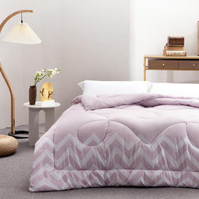 水星家纺芬梦负离子抗菌四季被200*230