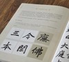 特惠！！《赵孟頫楷书：<三门记><妙严寺记><胆巴碑>经典书法临摹研习》，16开，精装，赵孟著，四川美术出版社2021年3月一版一印，208页，定价160，售价45元。 商品缩略图9