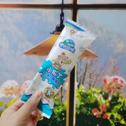 伊利小布丁 商品图0