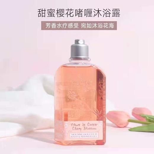 【百图lulu好物】【欧舒丹沐浴露身体乳】L'occitane欧舒丹樱花沐浴露250ml身体乳250ml  香港直邮 商品图6