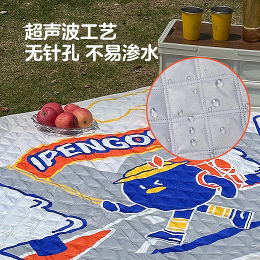IPENGOO超声波单肩包野餐垫 商品图8