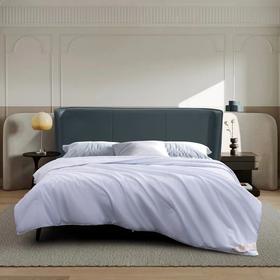 水星家纺莘德拉蚕丝四季被200*230