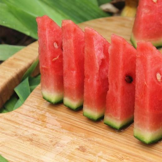 2K小西瓜4-5斤左右（1-2个） 商品图2