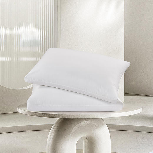 水星家纺芬梦负离子抗菌对枕 商品图0