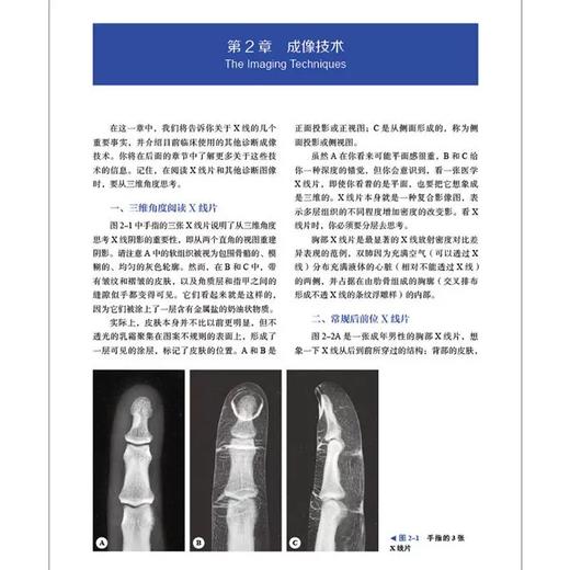 SQUIRE放射诊断学（原书第7版） 国际经典医学影像学译著 商品图1