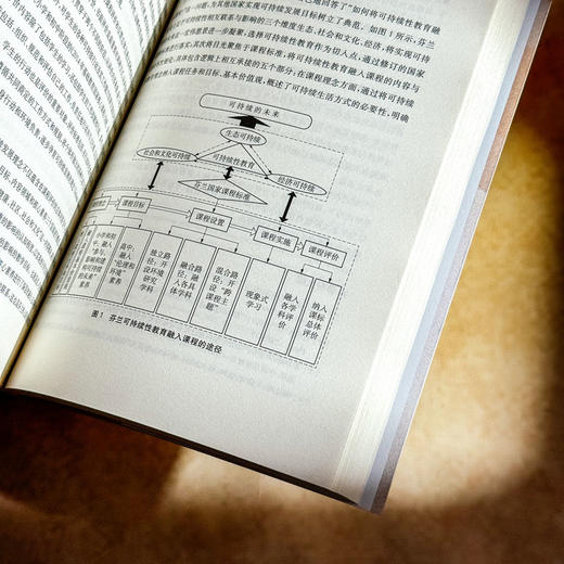 比较教育观察 全球教育的生态转向 彭正梅 沈伟 高等教育分类评价 商品图13