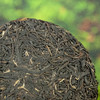 吉顺号普洱茶2019年紫鹃春茶紫芽紫叶普洱生茶100g/饼 商品缩略图6