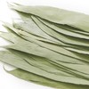 250g 阿东干粽子叶 每包160片左右 粽子叶 端午节粽子叶子 商品缩略图1