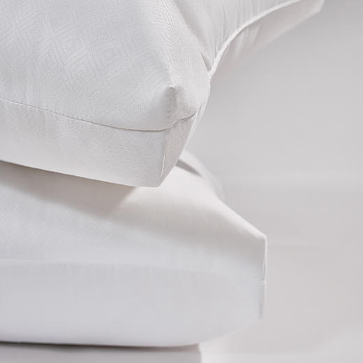 水星家纺芬梦负离子抗菌对枕 商品图3