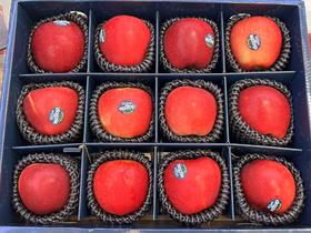 新西兰丹硕苹果礼盒（12个装）