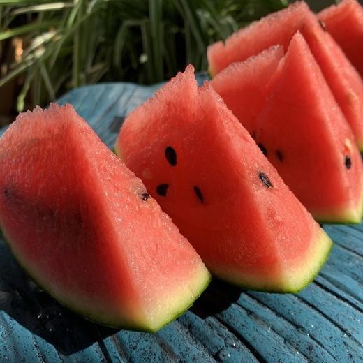 2K小西瓜4-5斤左右（1-2个） 商品图3