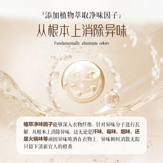 Malory祛味香氛护衣清新剂150ml 商品图3