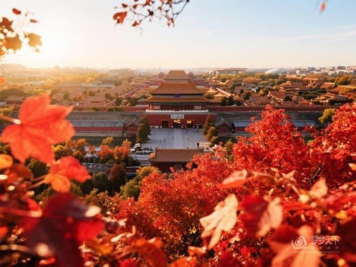 11.5确定出发【秋炫北京】紫禁城6天研学摄影<筑梦中国系列> 商品图8