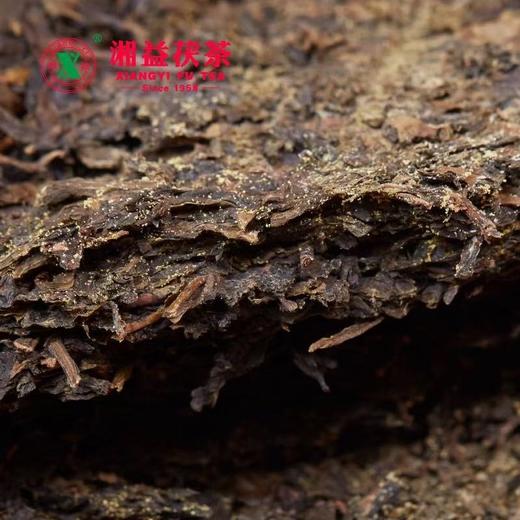 安化黑茶｜湘益2024年九龙池·骁野典藏茯砖茶950ｇ 商品图2