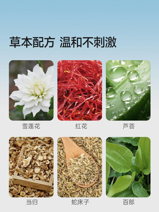 元气地带雪莲花养元女士护理护垫纯棉透气清凉私护保养抑菌 商品图3