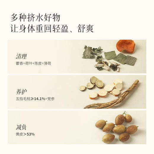 「五指毛桃藿香饮」酸甜清爽 适合很虚、易上火体质 商品图2
