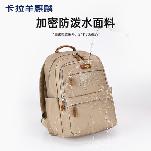 卡拉羊麒麟商务电脑防盗背包20升出差通勤多功能双肩包睿行CS5224 商品图6