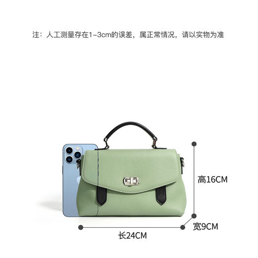 【预售3天】斜挎包女百搭2025新款单肩包包女士包高级感小众手提包T9767 商品图3