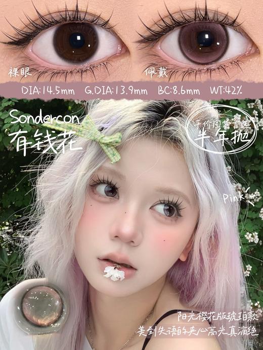 sondercon半年抛  没烦恼 棕/有钱花 粉 14.5mm 非离子 锁边狗狗眼 商品图0