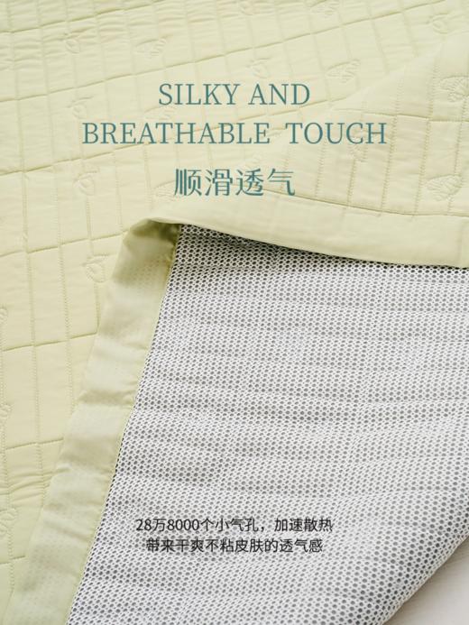【佘山艾美】施丹德SILKY丝语蚕丝凉席 商品图4