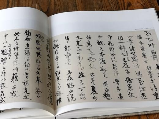 绝版钜惠！！国家美术馆捐赠与收藏系列：《高二适墨迹》，1函2册，8开，布面精装，高二适著，吴为山编，上海雅昌制版、北京雅昌印刷，江苏凤凰美术出版社2016年一版一印，530页，定价2280，售价880 商品图12