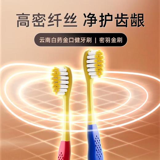 云南白药密羽金刷牙刷(双支装) 商品图0