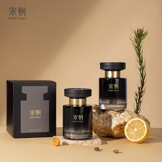 宋朝丨暗夜黑金车载香薰120ml/瓶 商品图7