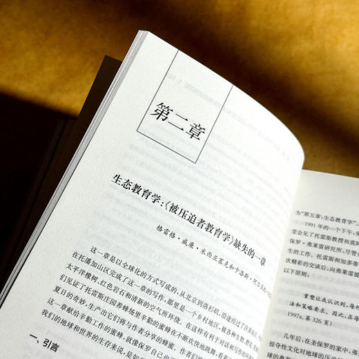 比较教育观察 全球教育的生态转向 彭正梅 沈伟 高等教育分类评价 商品图8