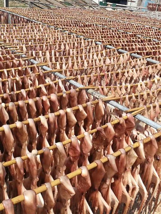 广东潮州杨栈记章鱼250g/袋 商品图3