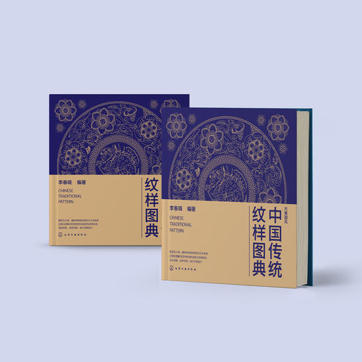 《中国传统纹样图典》 商品图14
