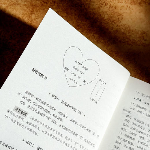 如何上好探究式主题班会课 大夏书系 曾容容 活德育新课堂 商品图8