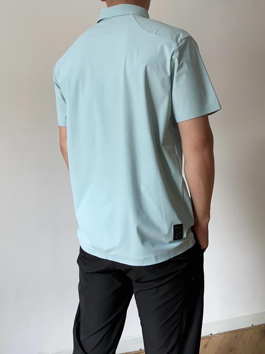 点此购买 迪桑特夏季男士经典三粒扣翻领短袖POLO衫 yw 319072 商品图6