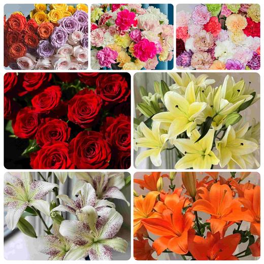 【买花的快乐源泉】AB级高原红玫瑰或随机玫瑰10支+黄天霸单头香水百合5支5朵+赞美诗单头亚百合3支3朵+橙色梦想亚百合6-8朵+送随机多头或随机单头康10支/份 商品图0
