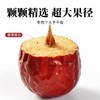 在菌屋 精选新疆特级大枣400g/罐 皮薄无渣 肉厚香甜 商品缩略图2