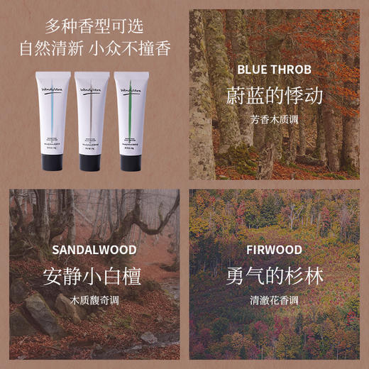 Wendy Vera 木调香膏固体香水  10g/支 商品图2