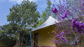 【温江-547号民宿】单房预定，两河之间密林之旁，成都帐篷酒店mx