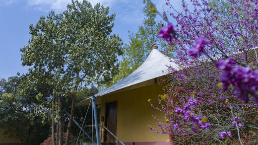 【温江-547号民宿】单房预定，两河之间密林之旁，成都帐篷酒店mx 商品图0