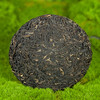 吉顺号普洱茶2019年紫鹃春茶紫芽紫叶普洱生茶100g/饼 商品缩略图4