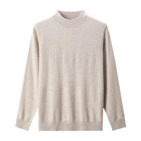 SEND男士半高领羊毛衫JX52