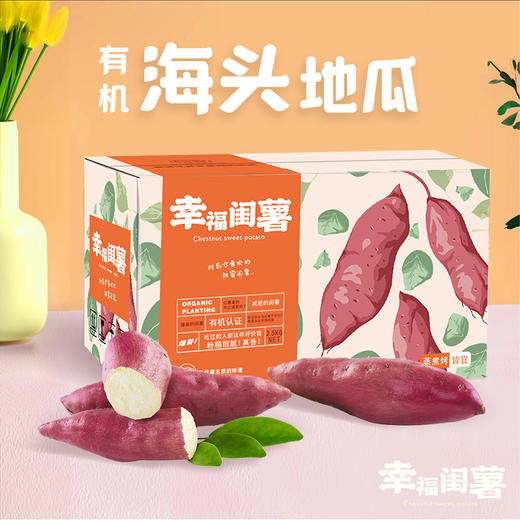 【偏远地区不发货，具体看详情页】正耕 幸福闺薯 有机板栗薯地瓜  5斤 商品图0